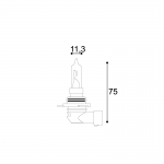 LAMPADA 12V STANDARD HIR1