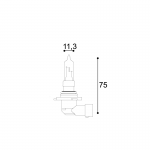 LAMPADA 12V STANDARD HIR2